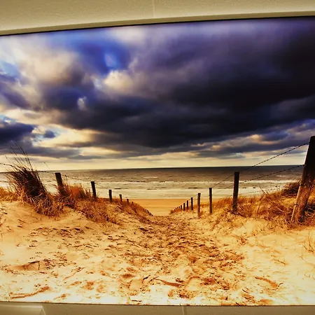 Rauw Aan De Kade IJmuiden