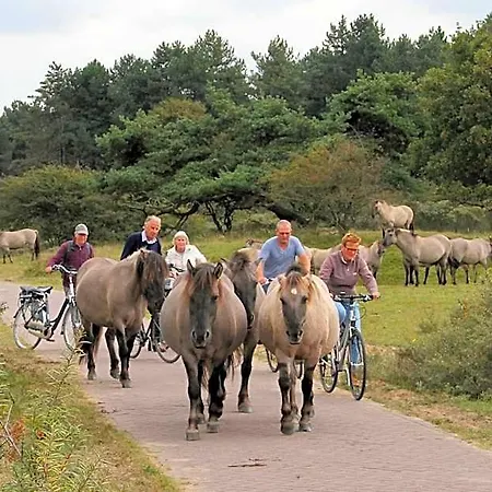 Hotel Rauw Aan De Kade