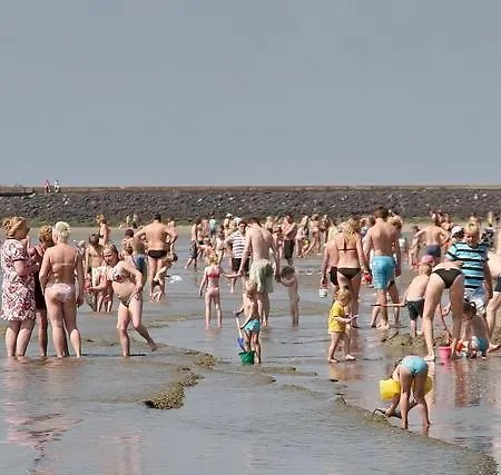 Rauw Aan De Kade 호텔 3*