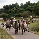 فندق Rauw Aan De Kade 3*